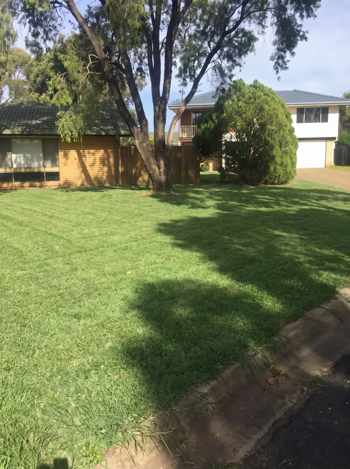 After: the same front lawn freshly mowed in neat stripes, with the kerb edged